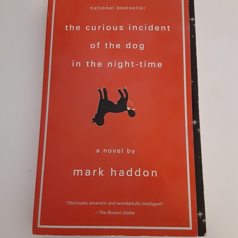 the curious incident of the dog in the night -time - a novel by Mark Haddon
